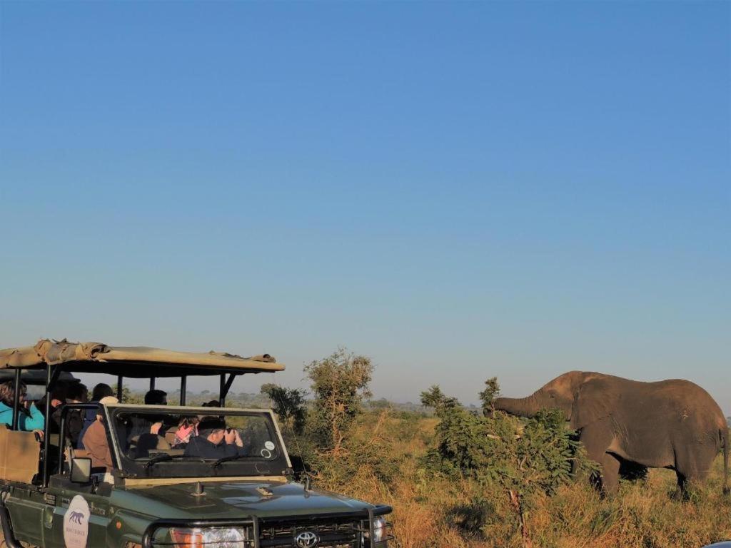 Croc Orvyll'S Kruger Lodge Marloth Park Bagian luar foto
