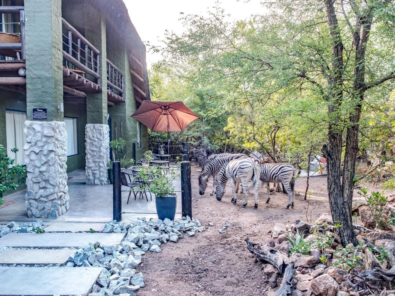 Croc Orvyll'S Kruger Lodge Marloth Park Bagian luar foto