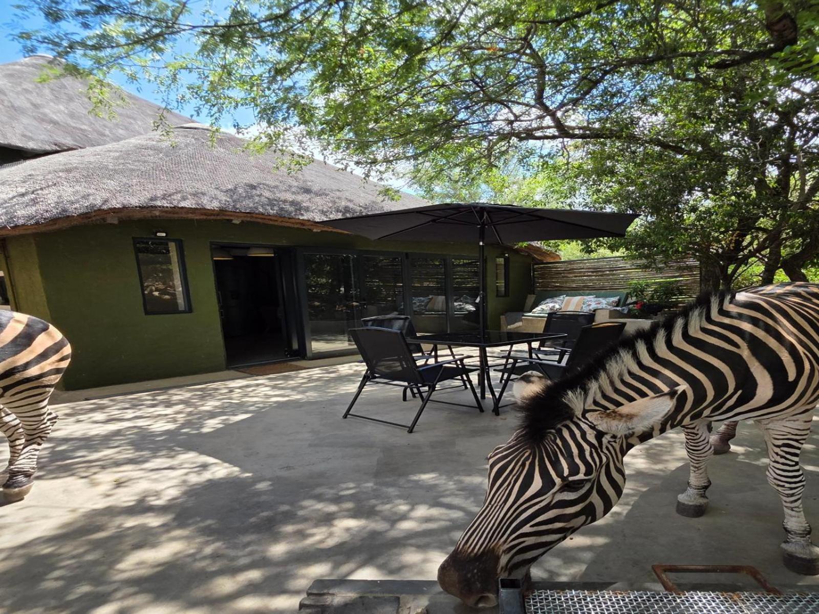 Croc Orvyll'S Kruger Lodge Marloth Park Bagian luar foto